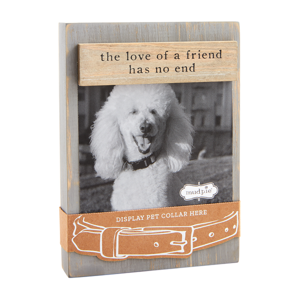 Gray Dog Collar Frame