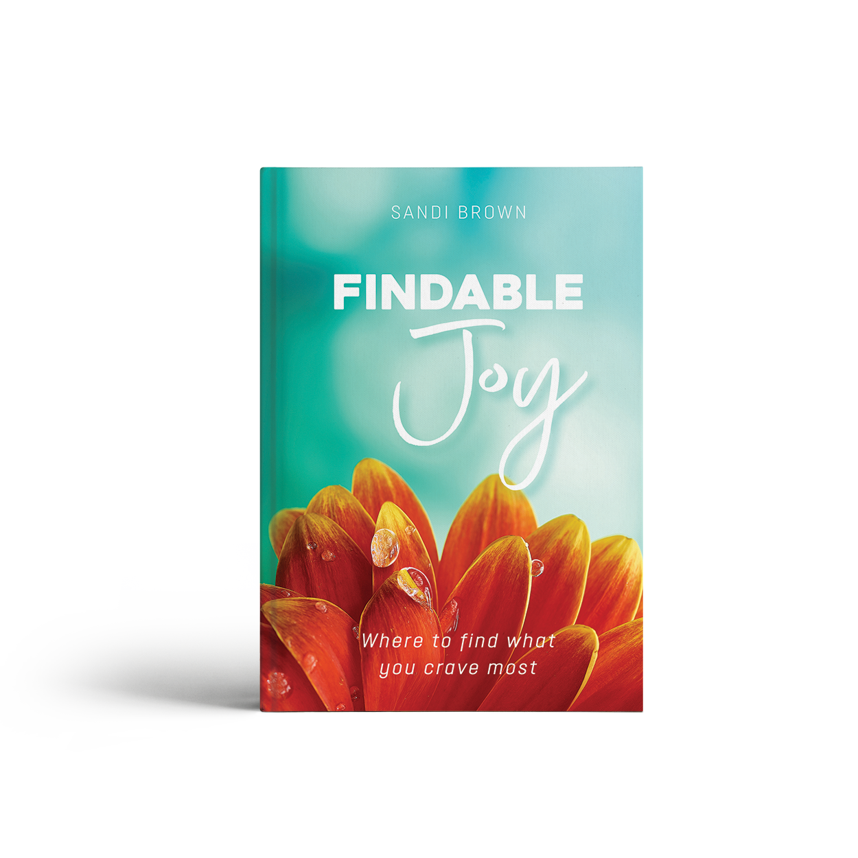 Findable Joy Devotional