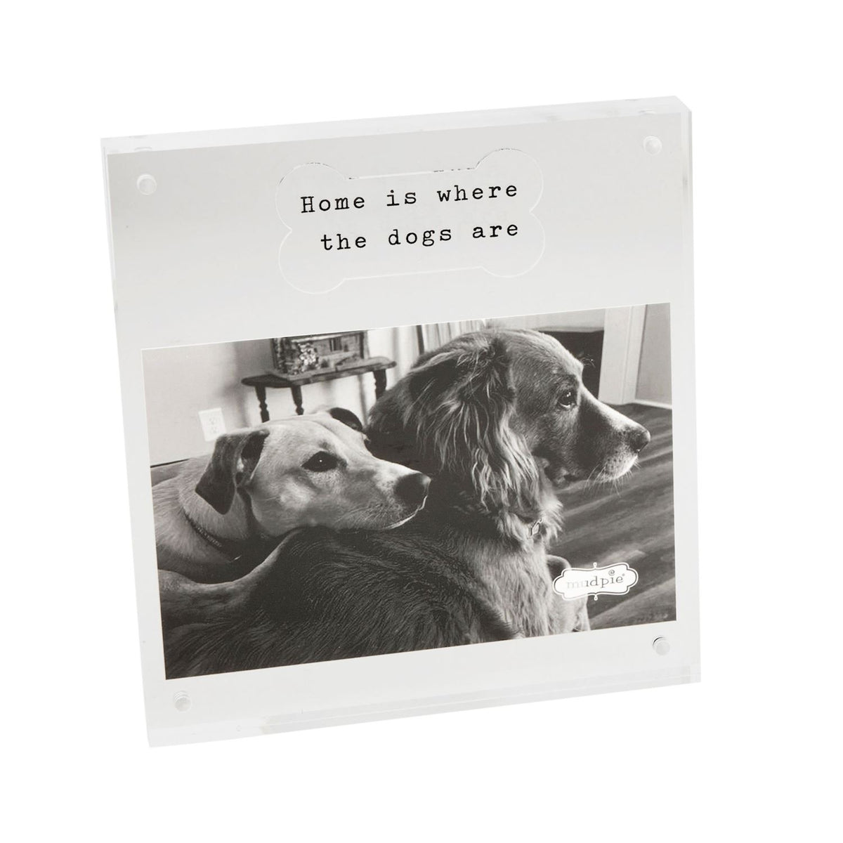 Acrylic Dog Bone Frame