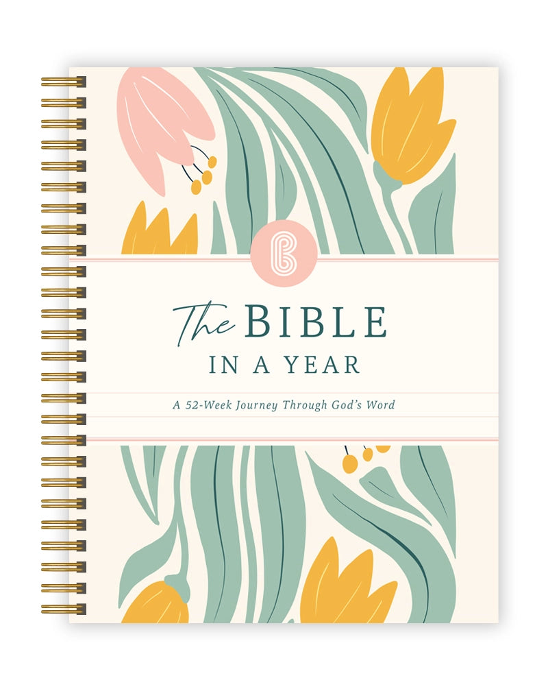The Bible In A Year - A 52 Week Journey Through God's Word