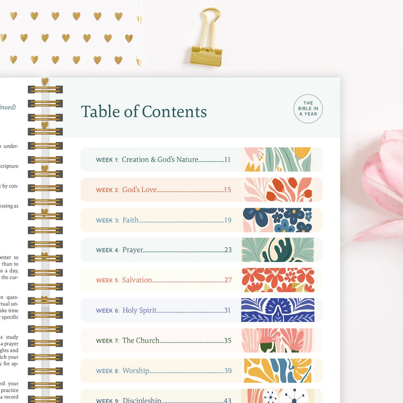 The Bible In A Year - A 52 Week Journey Through God's Word