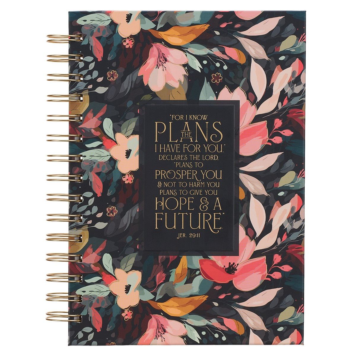 Jeremiah 29:11 Journal