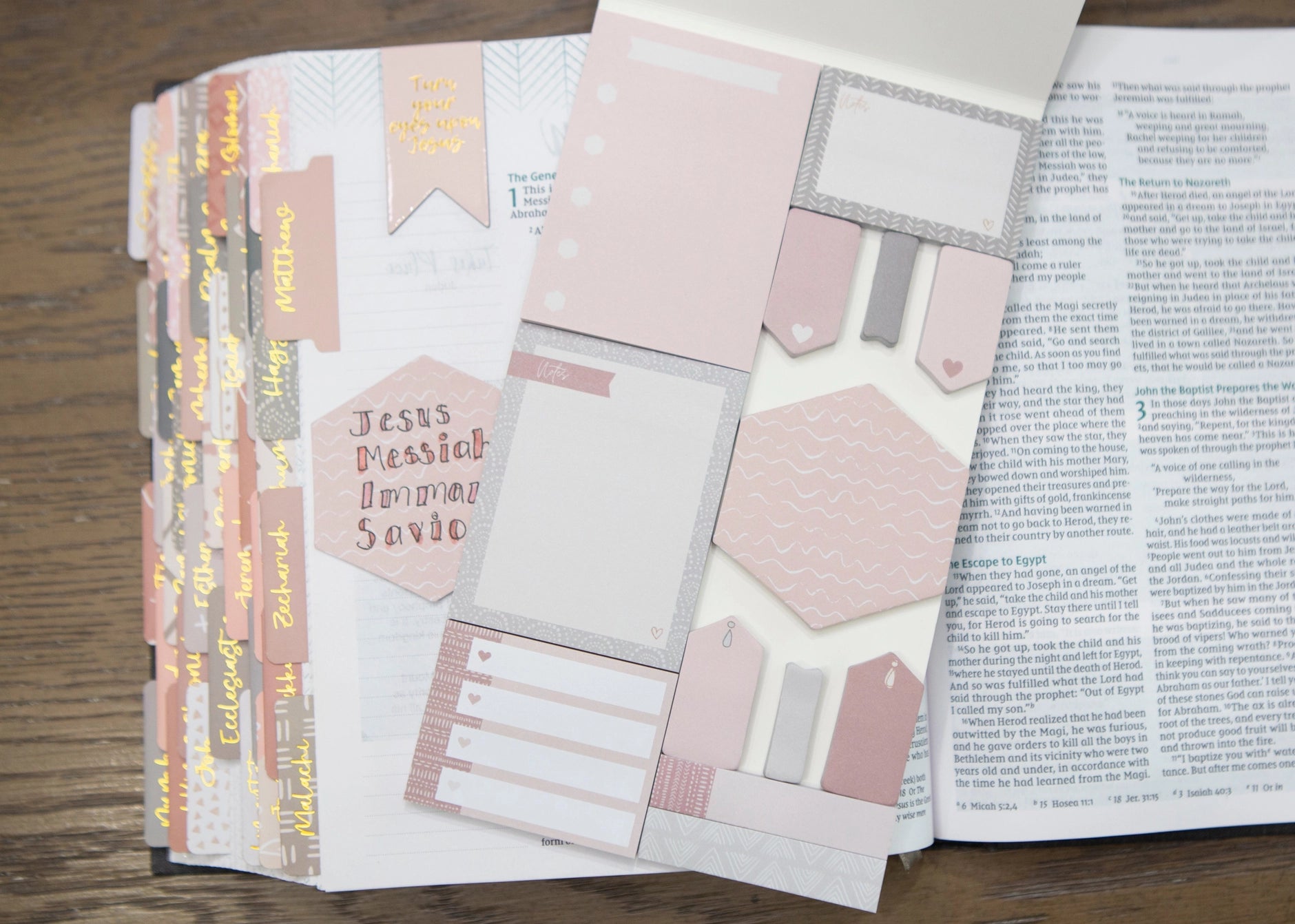 Pink & Gray Bible Study Sticky Notes