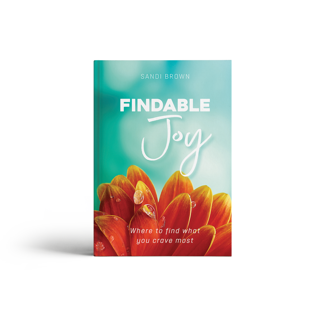 Findable Joy Devotional